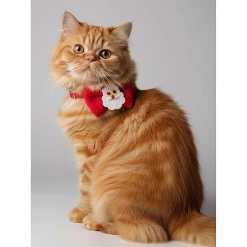 Rudolph Kedi Papyon Tasması | Kırmızı Fiyonk Boyun Aksesuarı | Noel Temalı Kedi Süsü