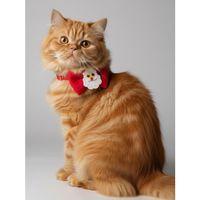 Rudolph Kedi Papyon Tasması | Kırmızı Fiyonk Boyun Aksesuarı | Noel Temalı Kedi Süsü