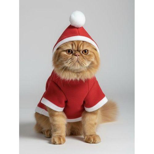 Buddy Kapşonlu Yılbaşı Kedi Sweatshirt Noel