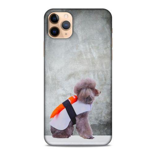 Apple Iphone 11 Pro Kılıf Köpek Kıyafetleri (39) Liquid Crystal Kılıf China Sushi Yağmurluk
