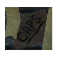 Fallout Kap Konteyner Kapağı (Bu ürün Sadece Plastik parçadır - Almadan Önce Soru Sorabilirsiniz)