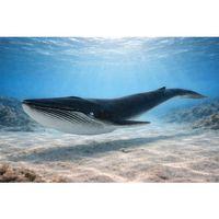 Deniz Hayvanları Serisi - Balina 29 cm