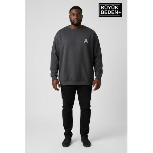 Erkek Büyük Beden A Baskılı Bisiklet Yaka ince Sweatshirt SPR26BSW956-12