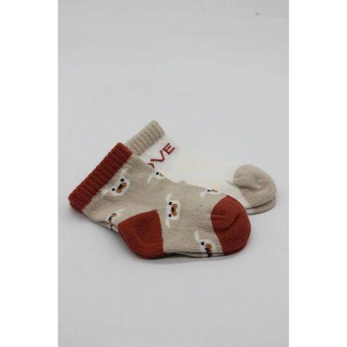 Bistyle Love Dog Penye Soket Çorap 2'Li BS10118 Bej