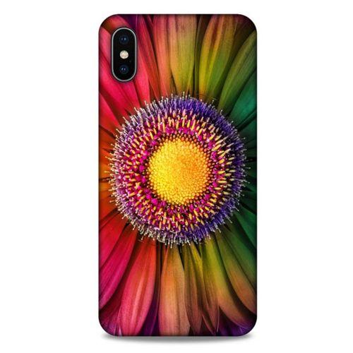 Apple iPhone XS Max Uyumlu Kılıf Mor Delisi (38) Neo Hybrid Kılıf Rainbow