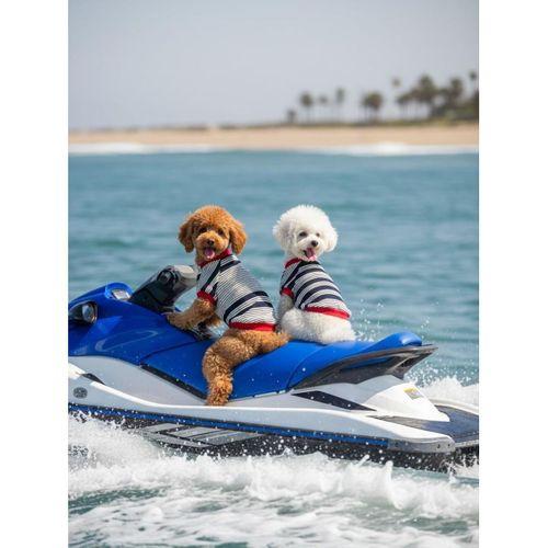 Yacht Club Marin Çizgili Köpek Tişörtü | Lacivert Kırmızı Yazlık Köpek Kıyafeti | Küçük Irklar