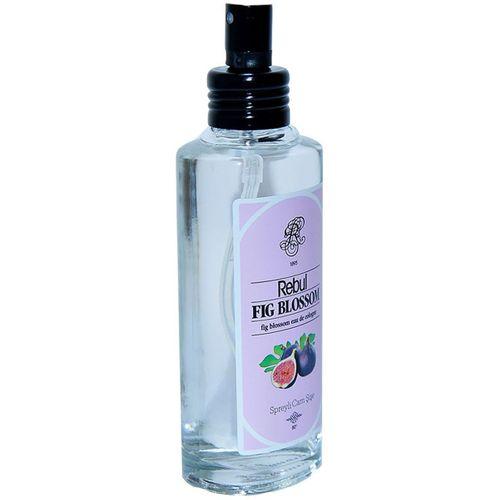 Rebul İncir Kolonyası 80 Derece Cam Şişe Sprey 100 ML