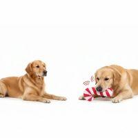 Sesli Baston Şeker Oyuncak