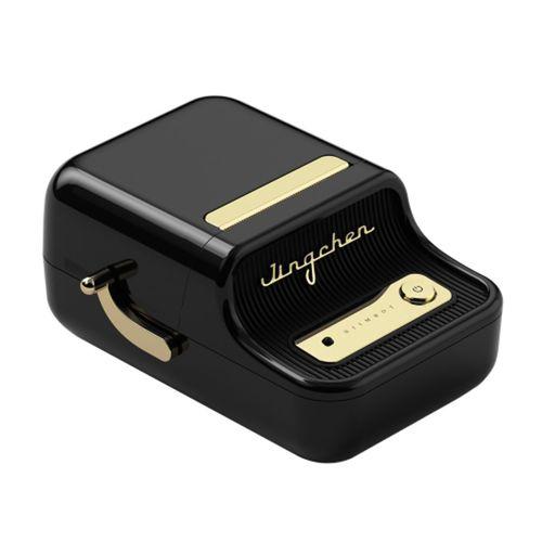 NIIMBOT B21, Taşınabilir, Mürekkepsiz, Termal Etiket Yazıcı (Bluetooth, Type-C) Siyah