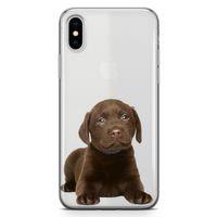 Apple iPhone XS Max Kılıf Yavru Labrador Arka Kapak Koruma Desenli Full Koruyucu