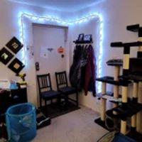 Asma Duvar Işığı Kavisli Uzantılar (Bu ürün Sadece Plastik parçadır - Almadan Önce Soru Sorabilirsiniz)