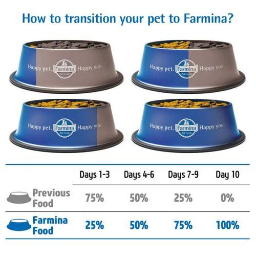 N&D Pumpkin Tahılsız Kuzu Küçük Irk Yetişkin Köpek Maması 2,5 Kg