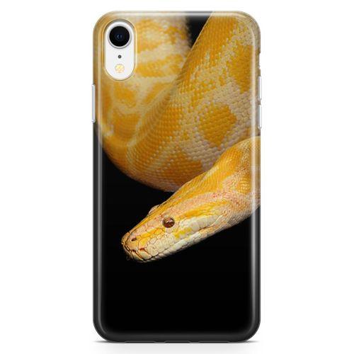 Apple iPhone XR Kılıf Zehir Arka Kapak Koruma Desenli Full Koruyucu