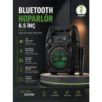 10w Güçlü Ses Performanslı Bluetooth Karaoke Hoparlörü