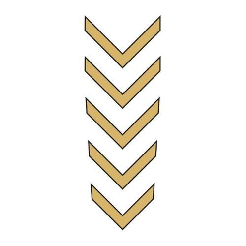 SEVGENT Cg Gold Çamurluk Üst Sticker