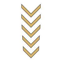 SEVGENT Cg Gold Çamurluk Üst Sticker