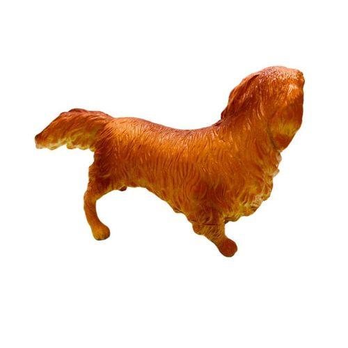 Soft Köpekler - Collie Cinsi Köpek - E013