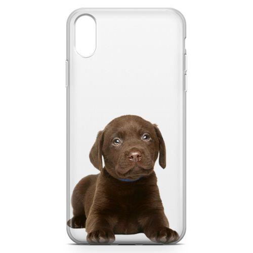 Apple iPhone XR Kılıf Yavru Labrador Arka Kapak Koruma Desenli Full Koruyucu