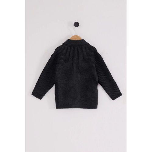 U.s. Polo Assn Bebek Hırka Usb2608 Antrasit Melanj