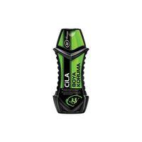 Oto Boya Koruma Koruyucu Cila 300 ml
