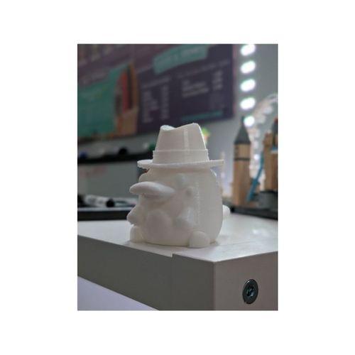 Perry Platypus 3D Baskı (Bu ürün Sadece Plastik parçadır - Almadan Önce Soru Sorabilirsiniz)