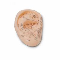 Akupunktur Kulak Modeli