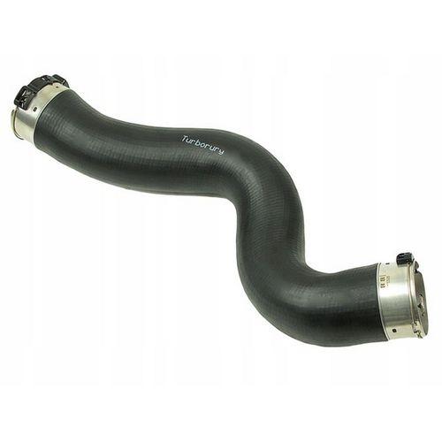 IBRAS Turbo Hortumu 11618513849 F20 F21