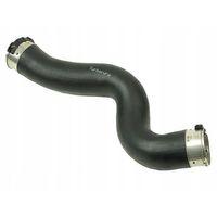 IBRAS Turbo Hortumu 11618513849 F20 F21