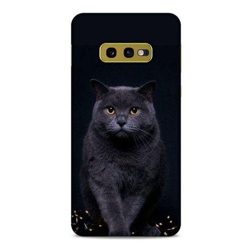 Lopard Samsung Galaxy S10e Uyumlu Kılıf Kediler (47) Crystal Flex Kılıf Scottish Fold