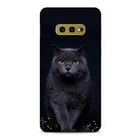 Lopard Samsung Galaxy S10e Uyumlu Kılıf Kediler (47) Crystal Flex Kılıf Scottish Fold