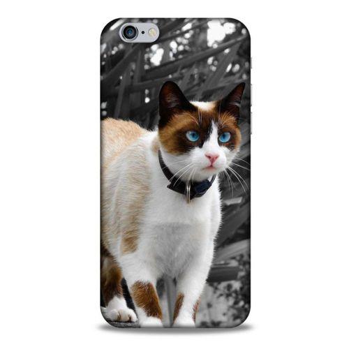 Lopard Apple Iphone 6S Uyumlu Kılıf Kediler (43) Thin Fit Kılıf Beyaz Kedi