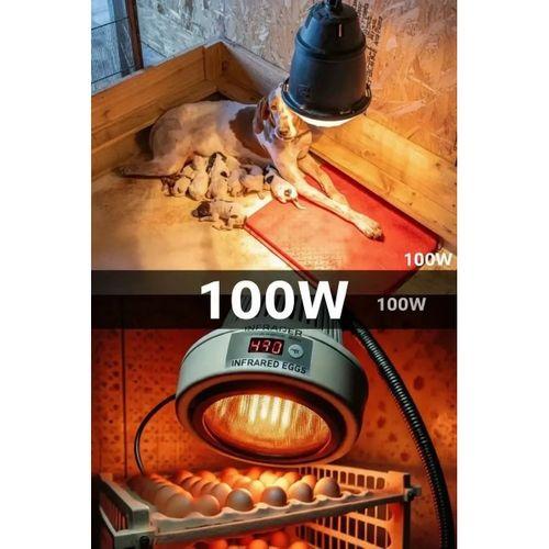 100w Kızılötesi  infrared  Isıtıcılı Hayvan Isıtma Ve Kuluçka Lambası  kırmızı Işık  E27  kalın Duy