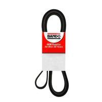 Kanalli Kayis Man Tga  Neopl 5Pk1525