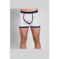 Berrak Çapa Ve Çizgi Baskı Erkek Boxer 1107