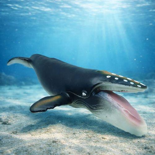 Deniz Hayvanları Serisi - Kambur Balina 30 cm