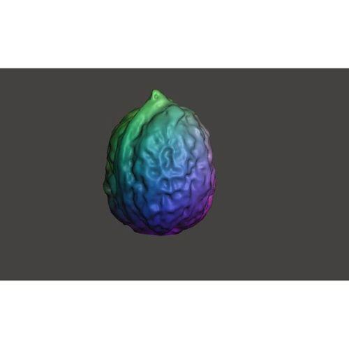 Ceviz 3D Baskı (Bu ürün Sadece Plastik parçadır - Almadan Önce Soru Sorabilirsiniz)