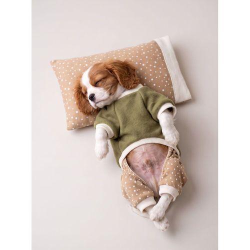 Latte & Matcha Köpek Rüyası | Pamuklu Köpek Tulumu, Polar Sweatshirt ve Mini Yastık | 3 Parça