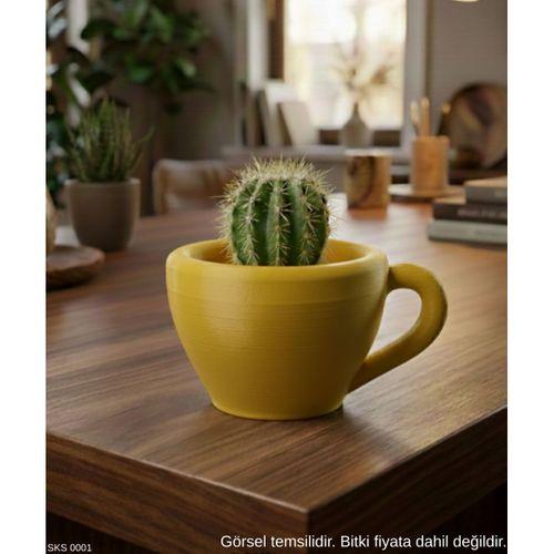Sarı Mini Dekoratif Fincan Şeklinde Saksı – 6 Cm Masaüstü & Ofis Dekoru