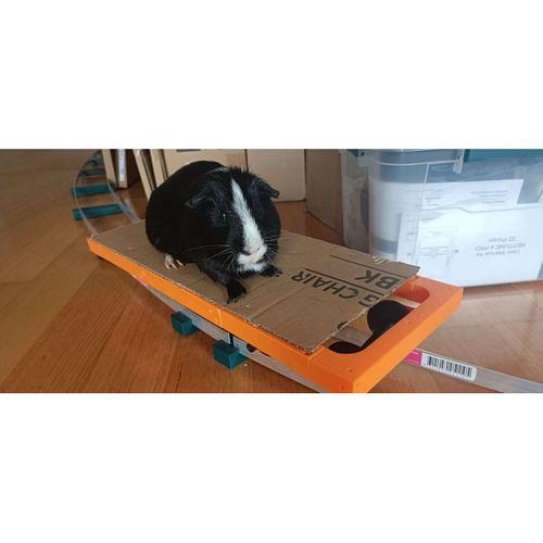 3 5 İnç Ölçüm Aracı Guinea Pig Treni İçin 3D Baskı (Bu ürün Sadece Plastik parçadır - Almadan Önce Soru Sorabilirsiniz)