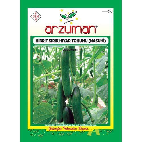 Hibrit Sırık Salatalık Tohumu (10 Adet) Nasuhi