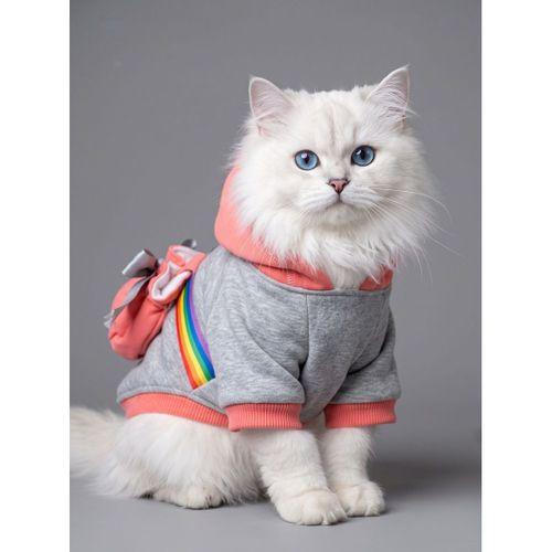Rainbow Kedi Sweatshirt | Kapüşonlu Gökkuşağı Detaylı Kedi Kıyafeti | Kedi Hoodie