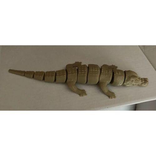 Mafsallı timsahlar - 5136675