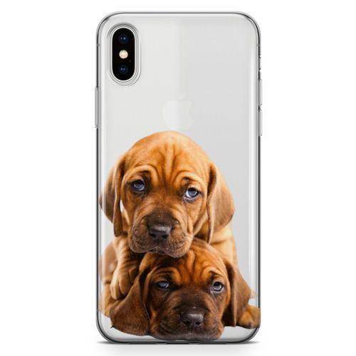 Apple iPhone XS Kılıf Amstaff Dachshund Arka Kapak Koruma Desenli Full Koruyucu