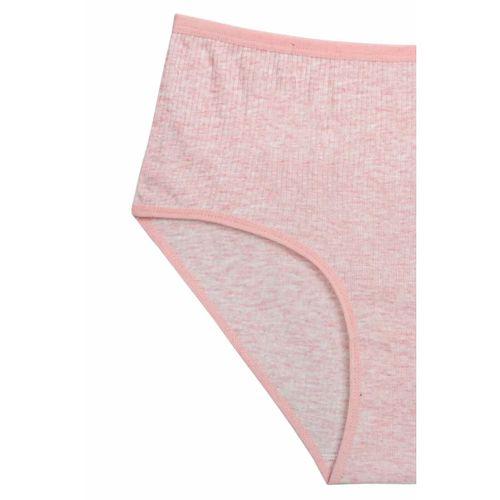 4'lü Yeni Seri Renkli Yüksek Bel Fitilli Ribana Bato Külot Pembe