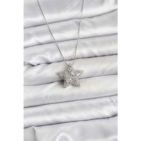 316L Çelik Zincir Gümüş Renk Zincirli Gümüş Yıldız Model Kadın Kolye
