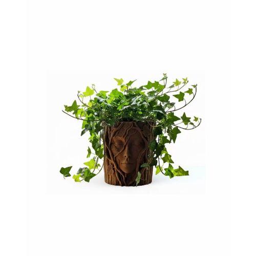 Doğa Temalı Yüz Detaylı Dekoratif Vazo 3d Ağaç Desenli Şık Saksı