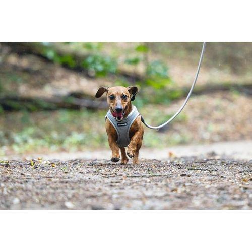 Beeztees Köpek Göğüs Tasması, Neopren, Gri, XS, 30-35cm