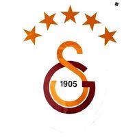 Galatasaray 5 Yıldız Arma Büyük Sticker 40X50Cm Orijinal Lisanslı Ürün