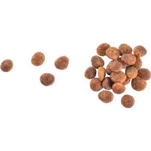 Brit Care Yetişkin Hassas Kediler İçin, Tahılsız, Hipoalerjenik, Taze Hindi Etli Ve Somonlu Kuru Mama 2 kg