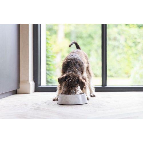 Beeztees DBL Köpek Mama Su Kabı, Mat Paslanmaz Çelik, Beyaz Mermer Görünümlü, 14cm, 160ml